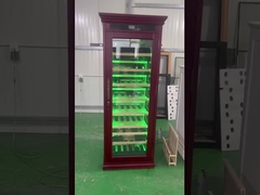 Szybko, szybko, szybko